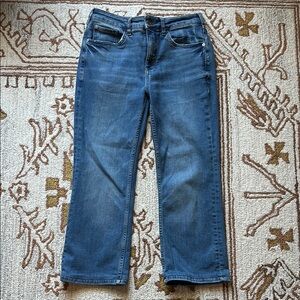 💙🩵PILCRO Anthropologie Cropped Denim